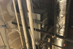BotteCamden10
